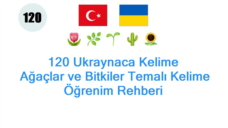 120 Ukraynaca Kelime: Ağaçlar ve Bitkiler Temalı Kelime Öğrenim Rehberi